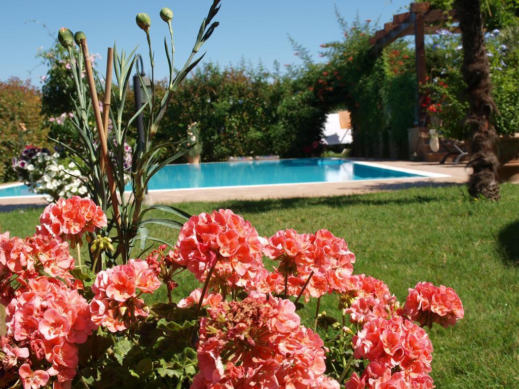 Villa Giusy B&B Τσεζένα Εξωτερικό φωτογραφία